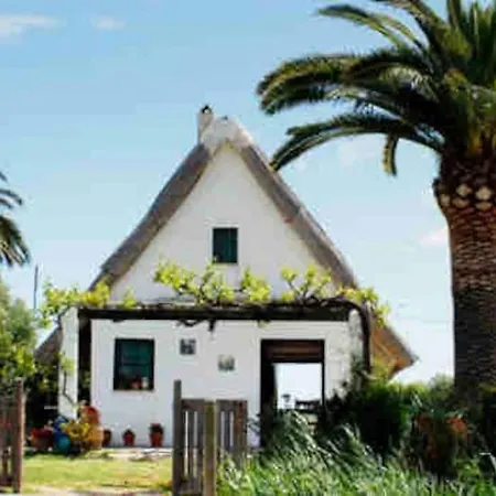 Apartamento Ruzafa Experience Oceanografic Ciencias Valencia